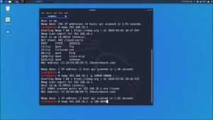 Основы работы с сетевым сканером Nmap в Kali Linux
