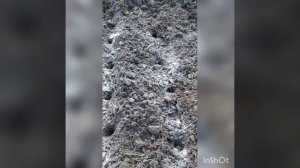 Что добавила на грядку при посадке лука-севка под зиму.  Увеличиваю урожай простым удобрением