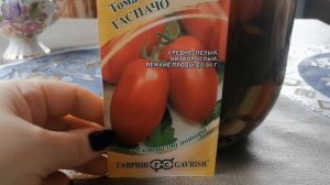 Томаты "Гаспачо". Обзор семян томатов от агрофирмы Гавриш