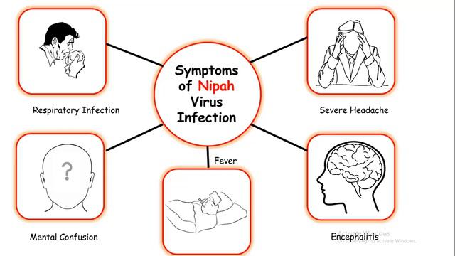 Nipah virus in Kerala | Nipah virus explained in hindi | What is a Nipah virus