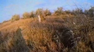 Открытие охоты на фазана в Советском районе респ. Крым 2017 г.