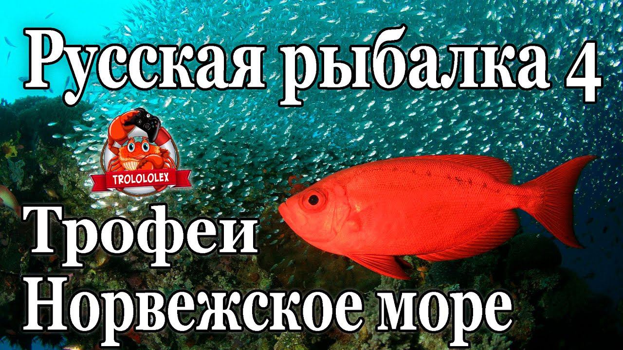 Русская рыбалка 4 Трофеи с Норвежского моря ФАРМ смотреть онлайн