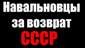 Навальновцы за возврат СССР