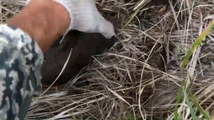 НАШЁЛ ПОЛЕВОЙ СТАН СССР! ЗАПЧАСТИ ОТ ТЕХНИКИ ПОВСЮДУ! ГДЕ ИСКАТЬ МЕТАЛЛ?Коп металлолома 2021