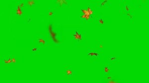 ?ОСЕННИЕ ЛИСТЬЯ. Футаж. Хромакей. Зелёный экран. Chroma Key. Green Screen..mp4