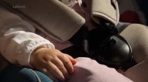 Тонирующие автомобильные шторки Laitovo