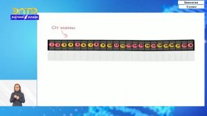 9-класс | Биология | Наследование признаков у организмов.