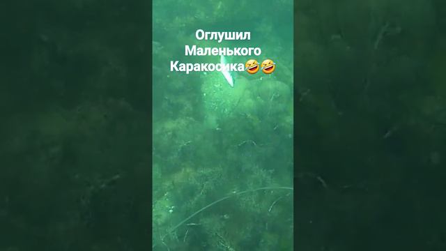 Подводная охота, черное море 2023