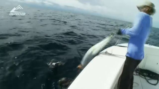 Spearfishing Gigant Yellow fin Tuna.Panama.Подводная охота на ТУНЦА.Шок вода бурлит от рыбы. смотреть онлайн