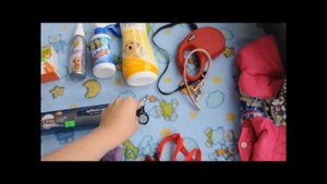 Уход за той-терьером Джесси