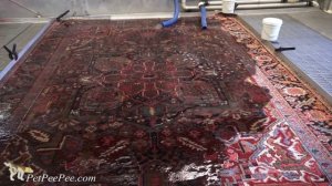 Who to trust? -oriental rug cleaning