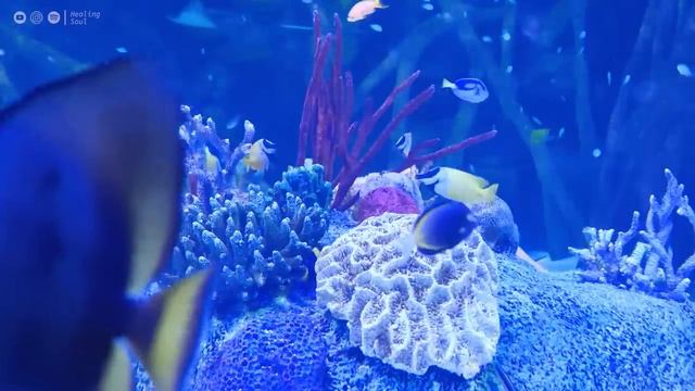 Расслабляющая музыка которая лечит стресс тревогу и депрессию лечит ум расслабляет