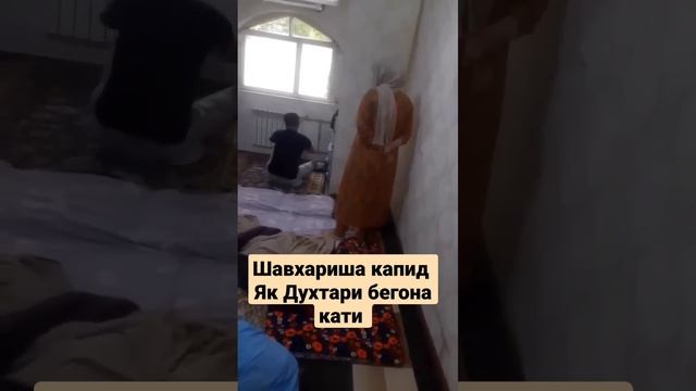 Куси точики лесидан