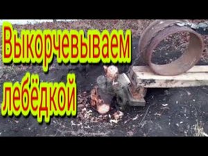 Как быстро и легко, при помощи лебёдки вытащить корень от дерева.