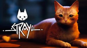 Stray ► Котэ-аутсайдер ► Прохождение #3