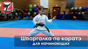 Шпаргалка по каратэ для начинающих