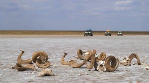 Путешествуйте больше, дальше и интереснее! Например, на багги CFMOTO!