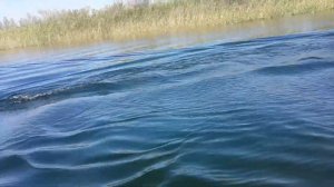 Самодельный лодочный мотор из триммера "HUTER"