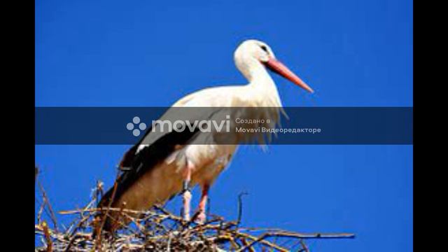 аст в небе смотреть онлайн