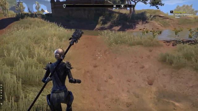 TESO Северный Эльсвейр. Каджит потерял своего гуара