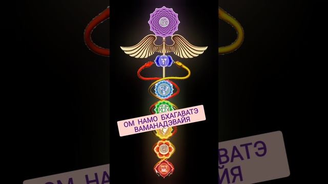 Мантра Юпитеру. По четвергам. ОМ НАМО БХАГАВАТЭ ВАМАНАДЭВАЙЯ. 108 раз смотреть онлайн