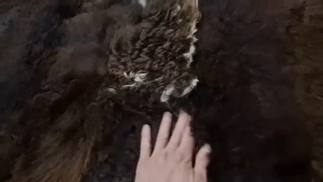 КОВРИК ИЗ ОВЕЧЬИХ ШКУР ТЕМНЫЙ (КОД: 4379) смотреть онлайн