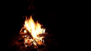 Пойми не бывает дороги простой