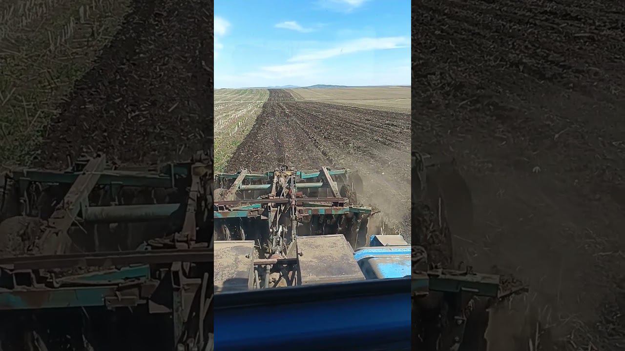 13 мая 2024 г. смотреть онлайн