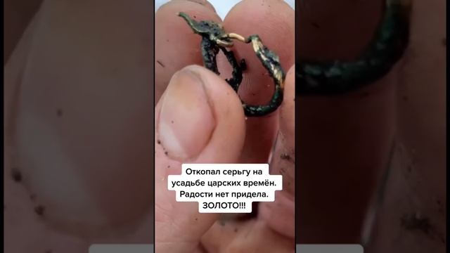 Нашел «золотую» серьгу на царской усадьбе! Поиск с металлоискателем