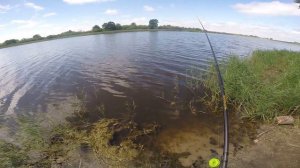 Тюлька - уклейка на судака  на зиму, видео rybachil.ru