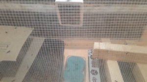Выход мухи Чёрной львинки из куколки