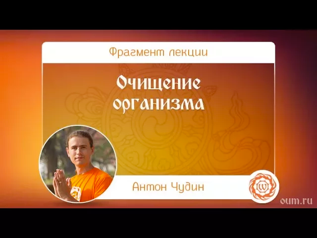 Очищение организма. Антон Чудин