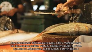 Невероятный город скатов райского острова Гранд-Кайман