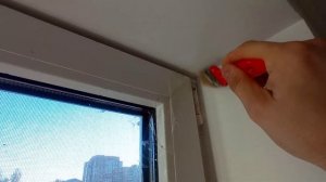 Как бороться с грибком на откосах