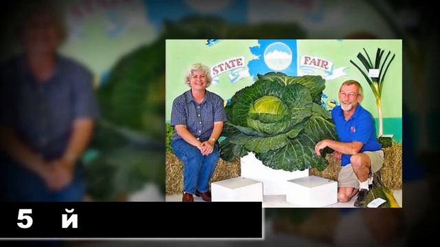 7 интересных фактов. Интересный факт о бегемотах смотреть онлайн