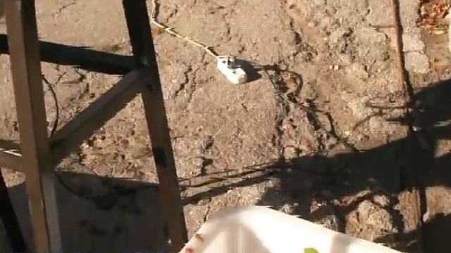 Мезганасос и дробилка для винограда ЛОЗА-М смотреть онлайн