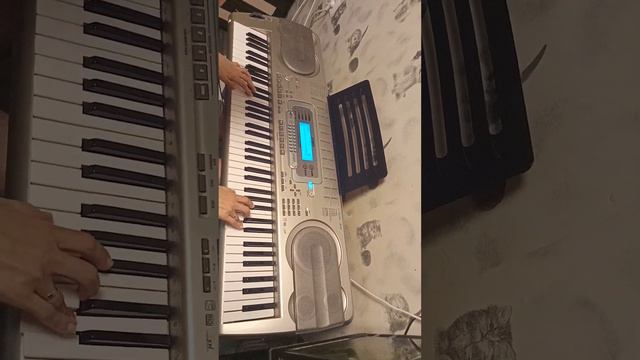 casio wk-3300