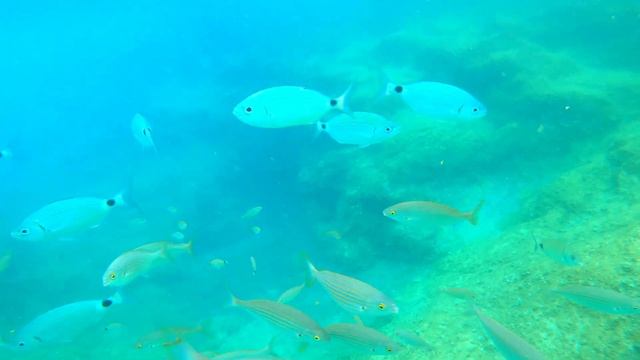 Tossa de Mar - Historic town in Costa Brava | Catalunya Spain [4k] смотреть онлайн
