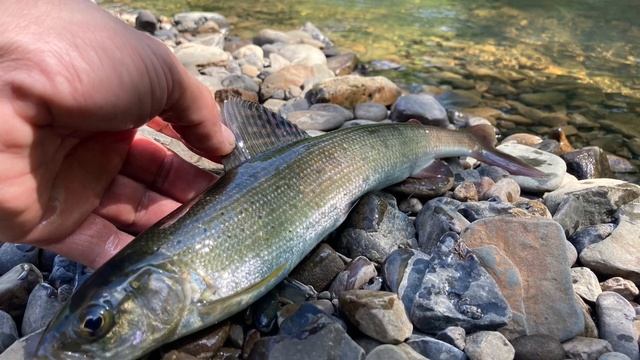 Открыл сезон рыбалки 2023 ! смотреть онлайн