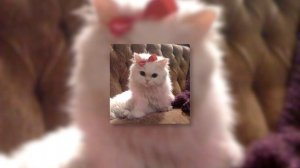 Ava Max - Kings & Queens // sped up + reverb