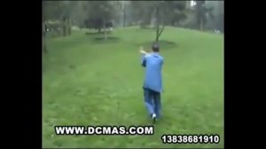 Ли Гунчэн - Багуачжан Лян ши