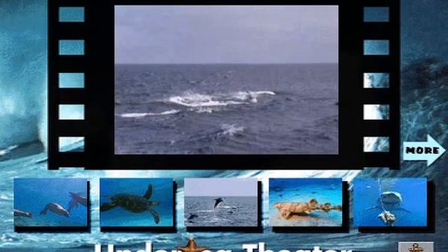 Dolphin From Undersea Adventure MS-DOS/Packard Bell Version смотреть онлайн