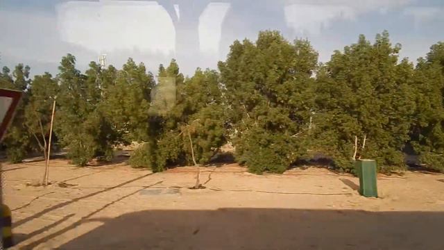 ОАЭ, Дубай 2020. Трансфер в отель, ч.1 смотреть онлайн