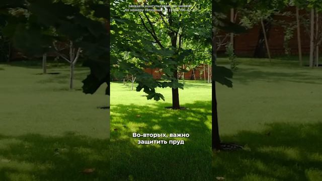 Где расположить пруд на участке?