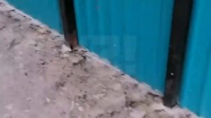 Как сделать каменный ковёр во дворе на крыльцо. Технология от А до Я. Stonecarpet