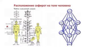 СЕФИРОТЫ учения ДРЕВА ЖИЗНИ А. Н. Петрова. Что такое сефироты? Для чего нужно изучать  сефироты.