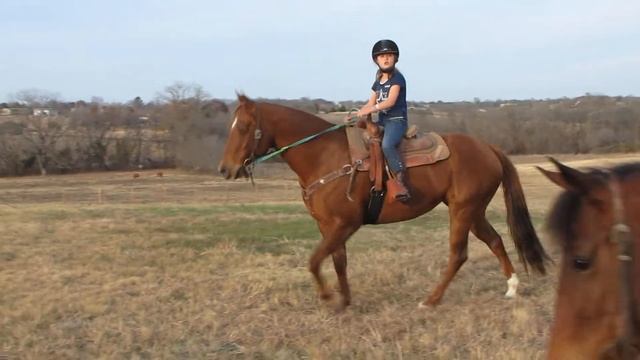 RKE Willys Top PA - riding lesson - riding outside 2 - Valley View Ranch смотреть онлайн
