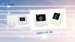 BEOK Thermostat display and application