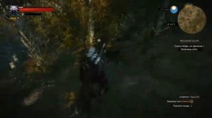 Прохождение The Witcher 3: Wild Hunt № 9 Дружеская услуга