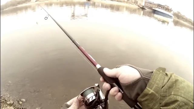 Рыбалка в Лыткарино 2017. Нижняя Москва- река. Спиннинг